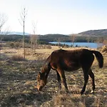 Farm stay Na Meji Pivka