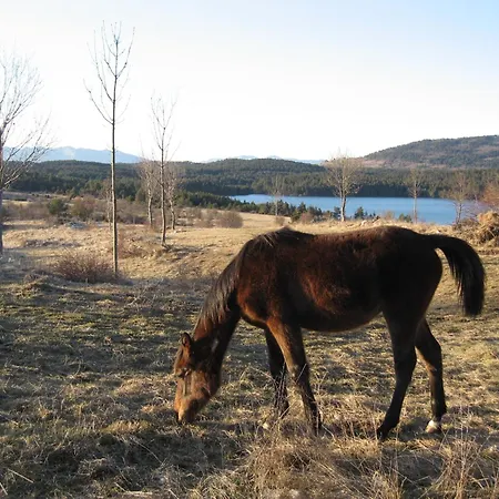 Feriegård Na Meji Pivka