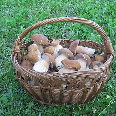 Na Meji Pivka