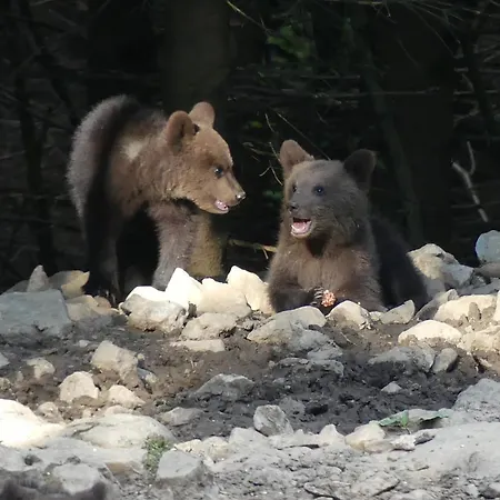 Feriegård Na Meji *