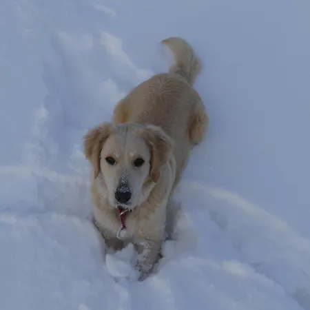 Κατάλυμα σε φάρμα Na Meji
