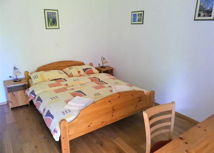 Çiftlik konaklama Na Meji Pivka