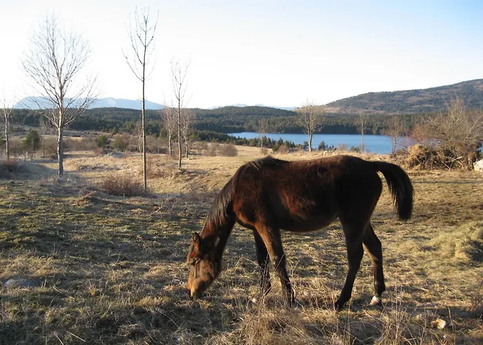 مزرعة للإقامة Na Meji بيفكا
