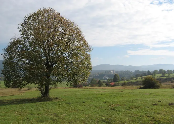 مزرعة للإقامة Na Meji *