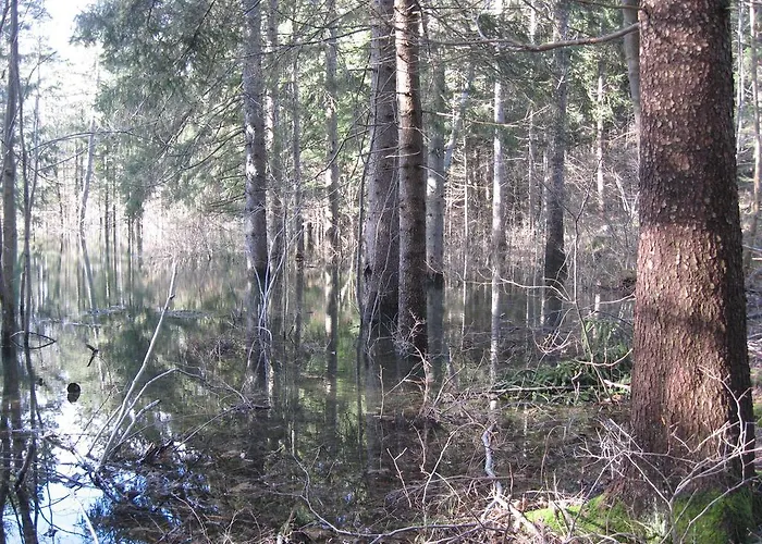 Na Meji مزرعة للإقامة